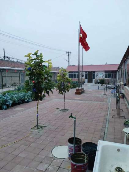 宝坻区老吾老养老服务中心