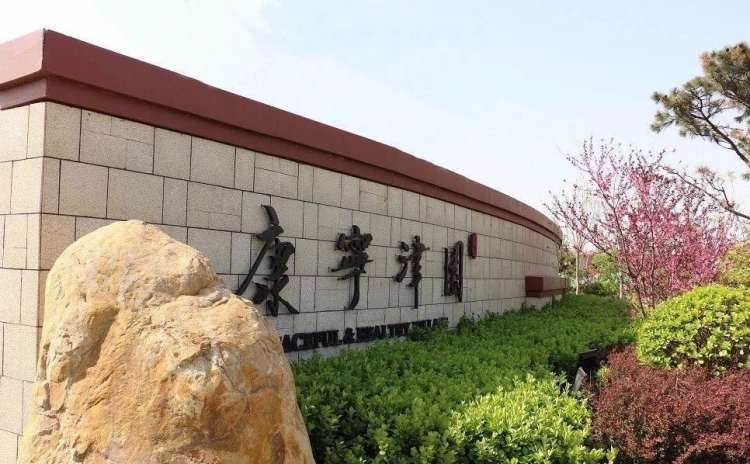 康宁津园